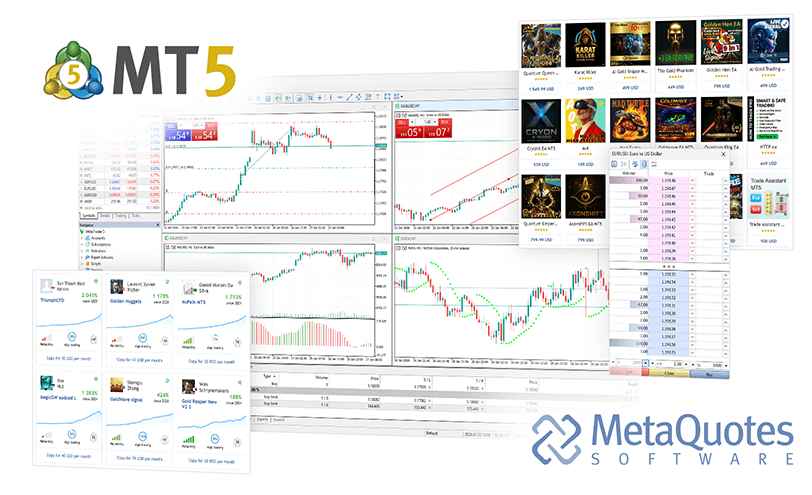 MetaTrader 5 macOS forex trading terminal setup